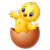 pollo